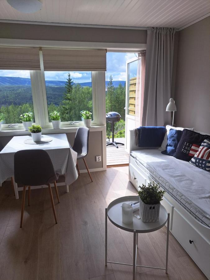 Apartament Mysig Laegenhet Med Fjaellutsikt I Saelen Zewnętrze zdjęcie