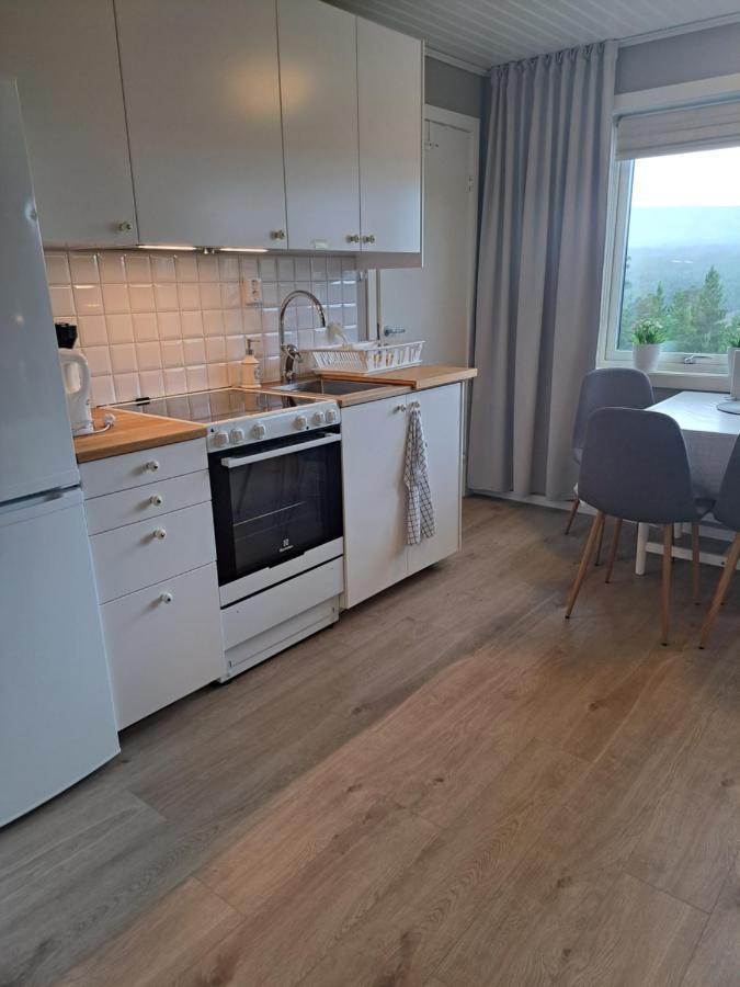Apartament Mysig Laegenhet Med Fjaellutsikt I Saelen Zewnętrze zdjęcie